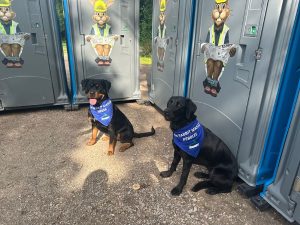 Rabbit mascots at Big Night Out toilet hire area